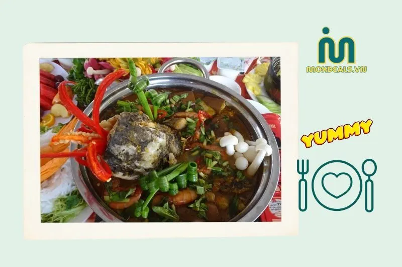 Rắn ri