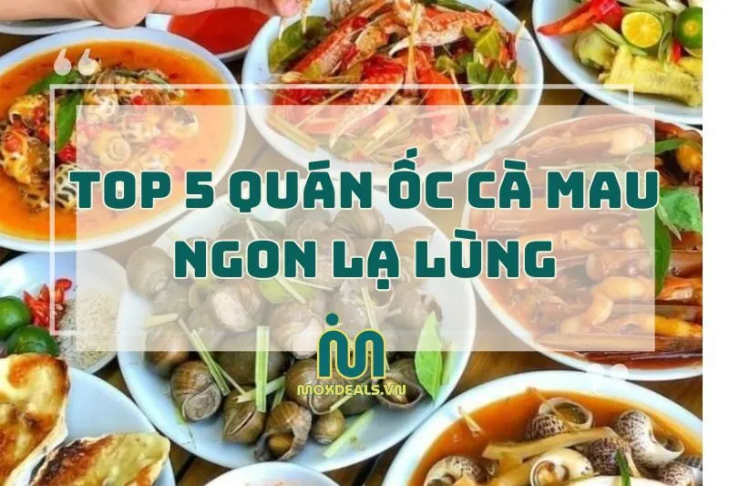 Top 5 Quán Ốc Ngon Cà Mau Nổi Tiếng Bạn Phải Thử Ngay 2025