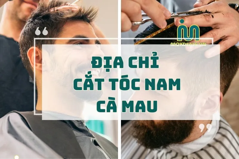 Top 9 Tiệm Cắt Tóc Nam Cà Mau - Tư Vấn Địa Chỉ Chất Lượng 2025
