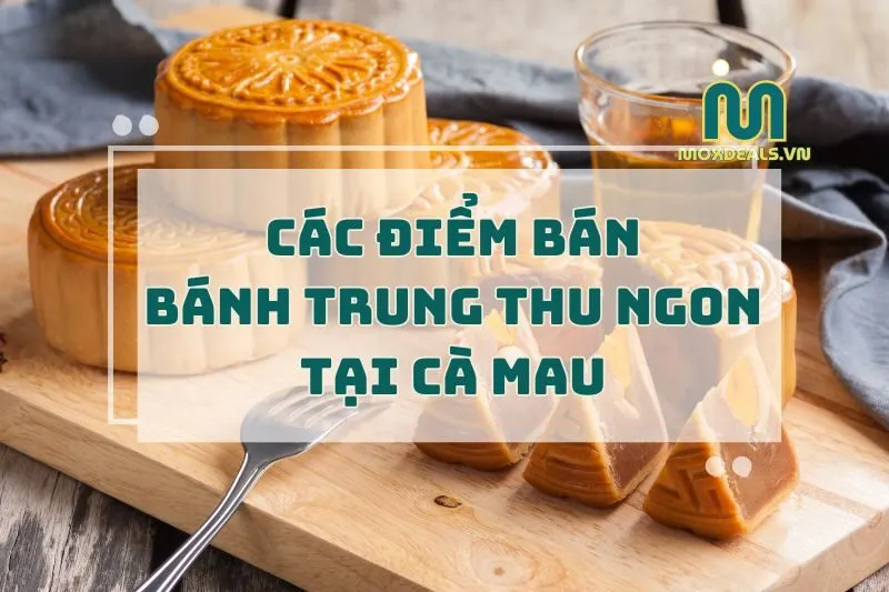 CÁC ĐIỂM BÁN BÁNH TRUNG THU NGON TẠI CÀ MAU