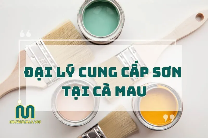 ĐẠI LÝ CUNG CẤP SƠN TẠI cà mau