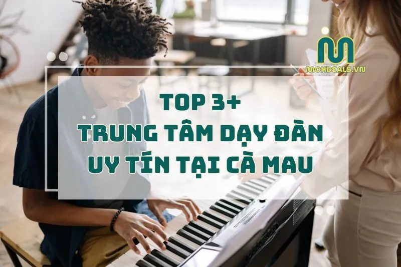 TOP 3+ TRUNG TÂM DẠY ĐÀN UY TÍN TẠI CÀ MAU