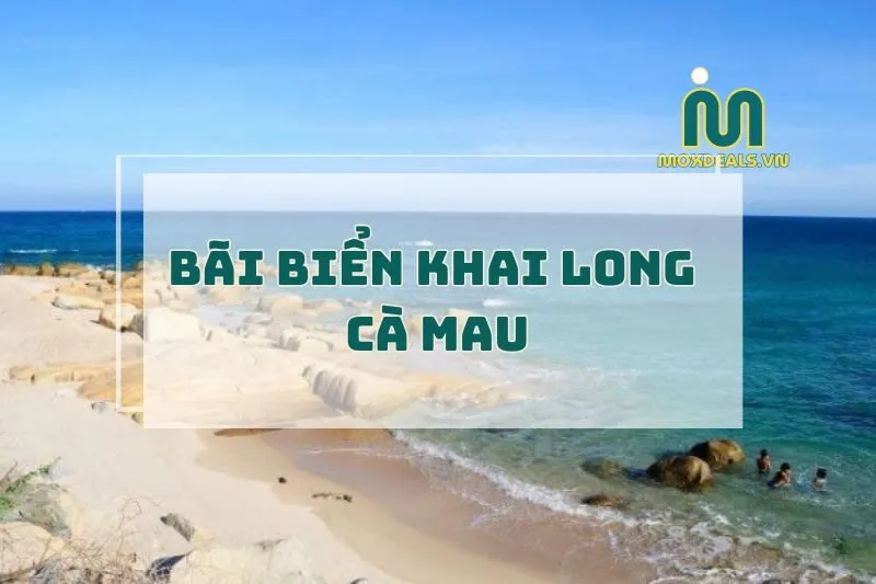 Bãi biển Khai Long Cà Mau 2025: Trải nghiệm thiên nhiên hoang sơ và vẻ đẹp bất ngờ