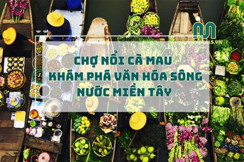Chợ nổi Cà Mau 2025: Khám Phá Văn Hóa Sông Nước Miền Tây