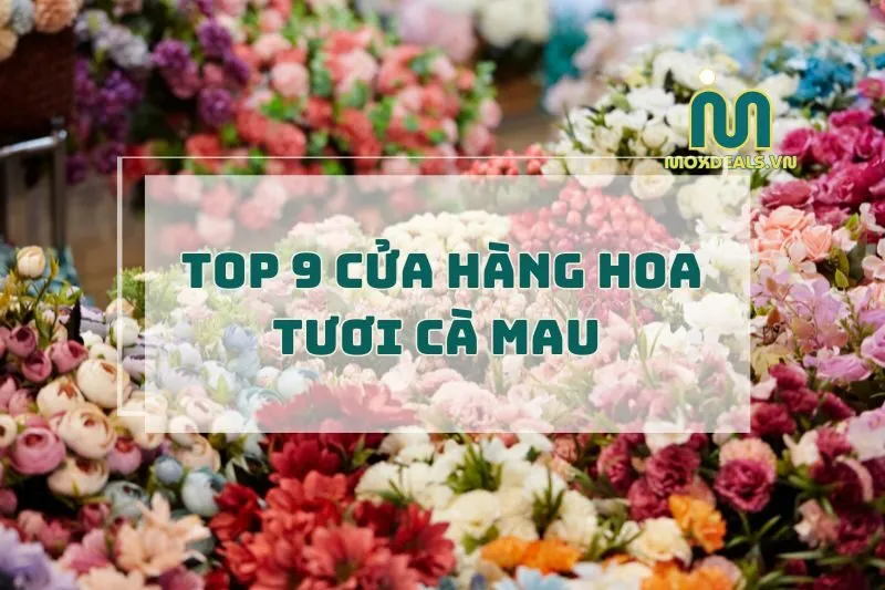 Cửa hàng hoa tươi Cà Mau 2025: Top 9 địa chỉ uy tín nhất
