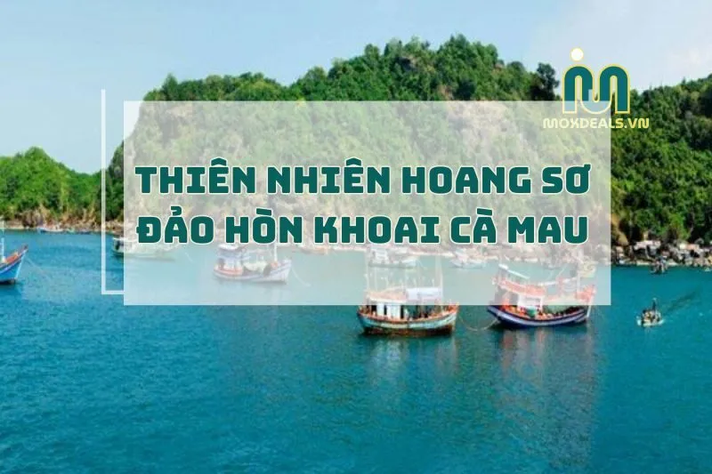 Đảo Hòn Khoai Cà Mau 2025: Khám Phá Thiên Nhiên Tuyệt Vời và Lịch Sử