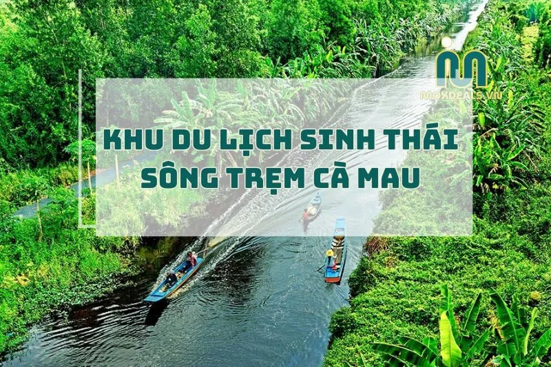 Khu du lịch sinh thái Sông Trẹm Cà Mau 2025
