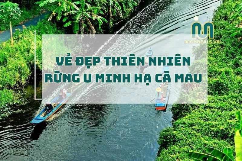 Rừng U Minh Hạ Cà Mau 2025: Khám Phá Vẻ Đẹp Thiên Nhiên và Hệ Sinh Thái Độc Đáo