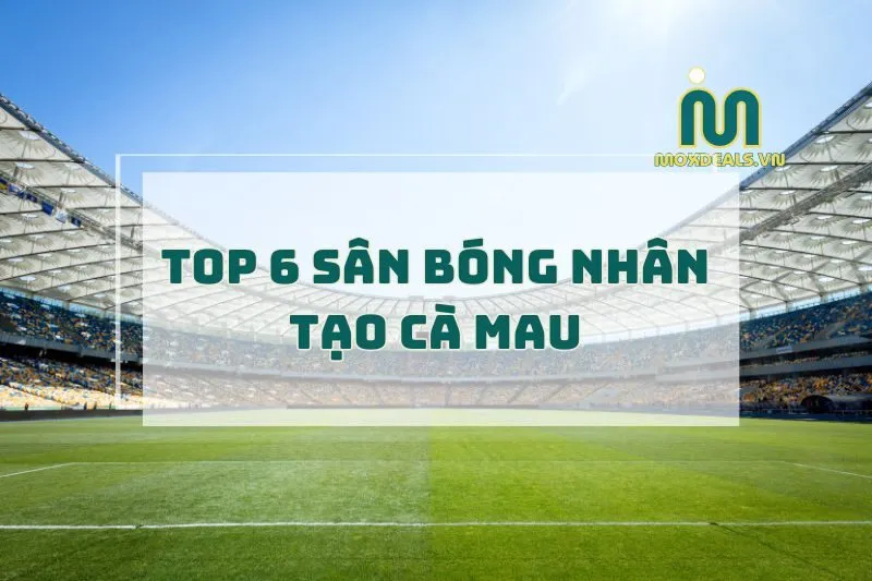 Sân bóng nhân tạo Cà Mau 2025: Top 6 Địa Điểm Chơi Bóng Tuyệt Vời