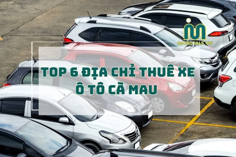 Thuê Xe Ô Tô Cà Mau 2025: Địa Chỉ Uy Tín & Giá Cả Phải Chăng