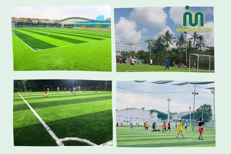 Top 6 sân bóng nhân tạo Cà Mau