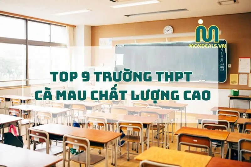 Trường THPT Cà Mau